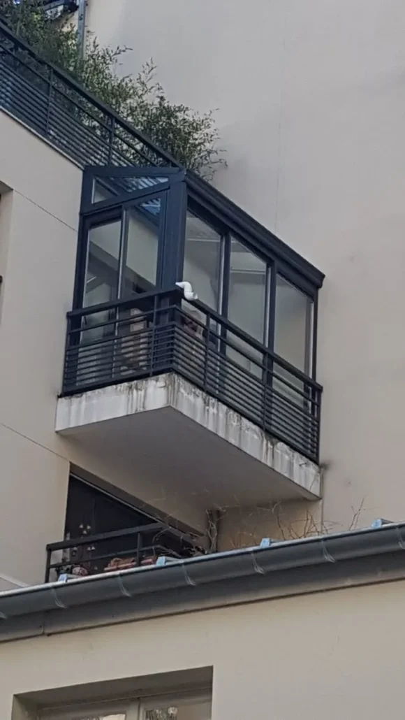 پنجره دوجداره در سیدخندان